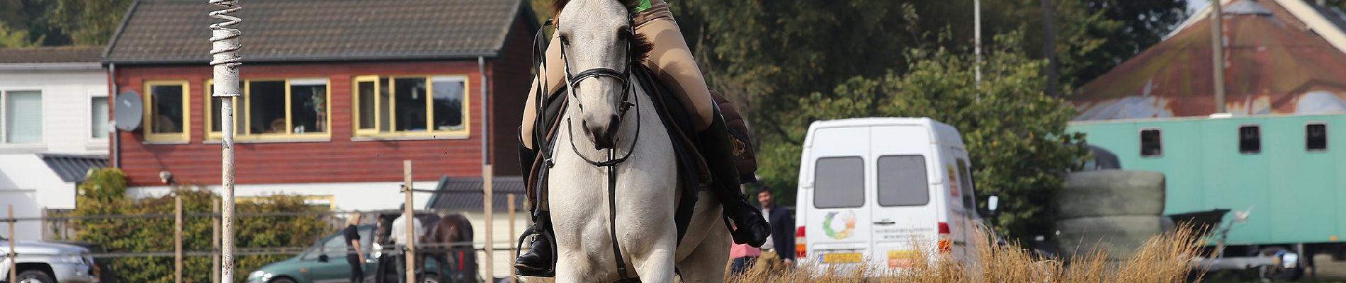 Tocht Te voet Gooise Meren - Muiderbergroute - Photo