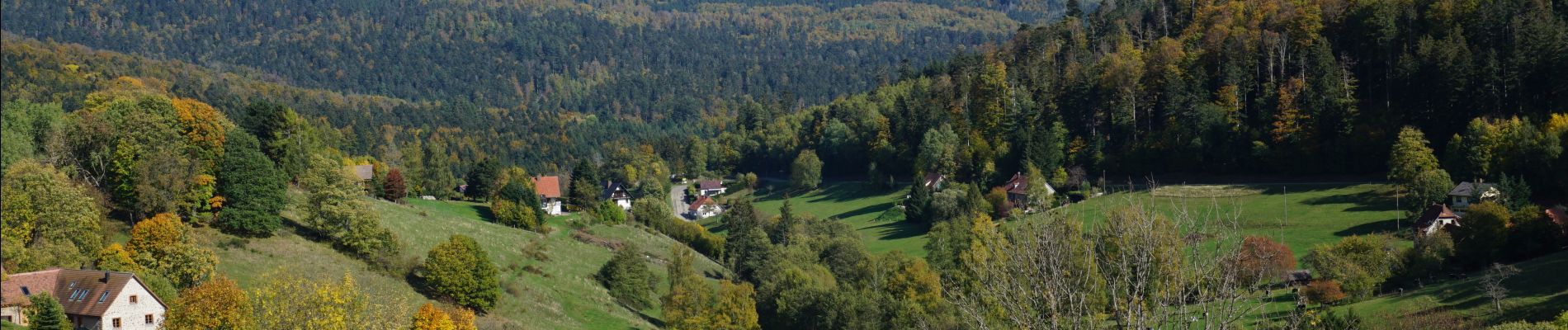 Tour Wandern Hohwald - Le Hohwald Grande Bellevue Cascade de l'Andlau - Photo