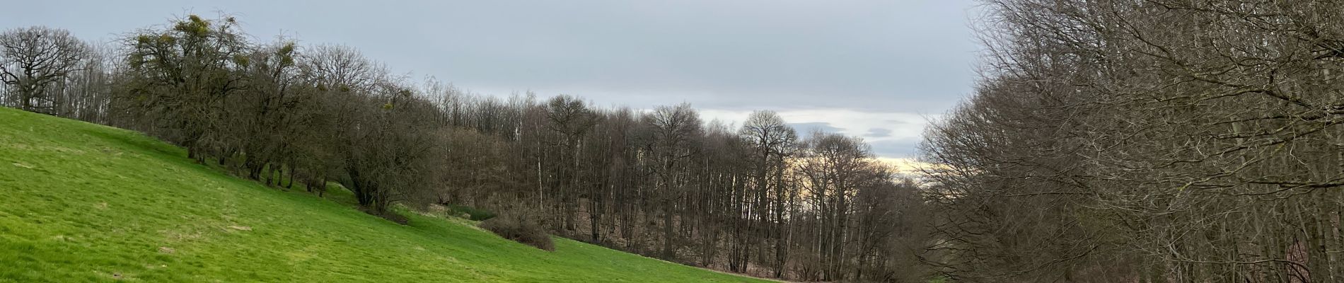 Percorso  Ittre - Ittre entre campagne, canal et pinède  - Photo