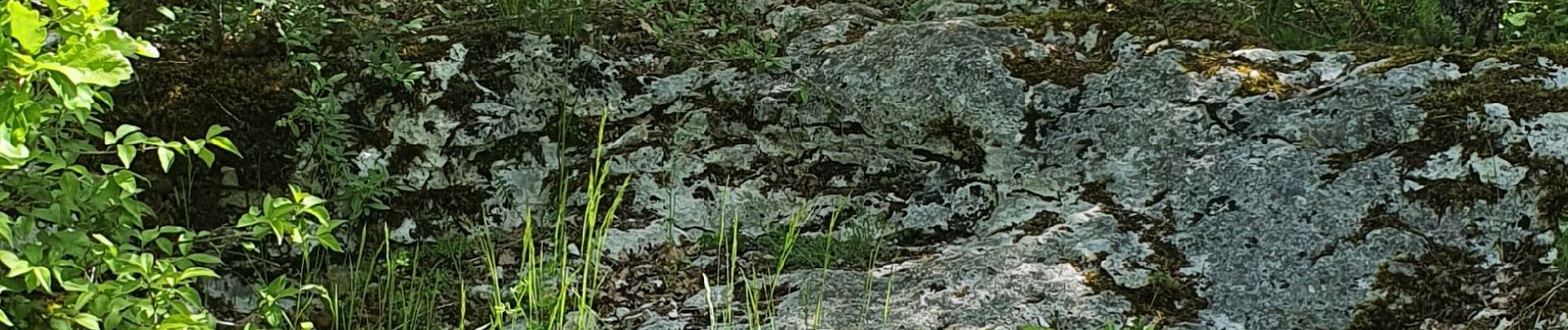 Excursión Senderismo Caniac-du-Causse - igue planaires avec Romain - Photo