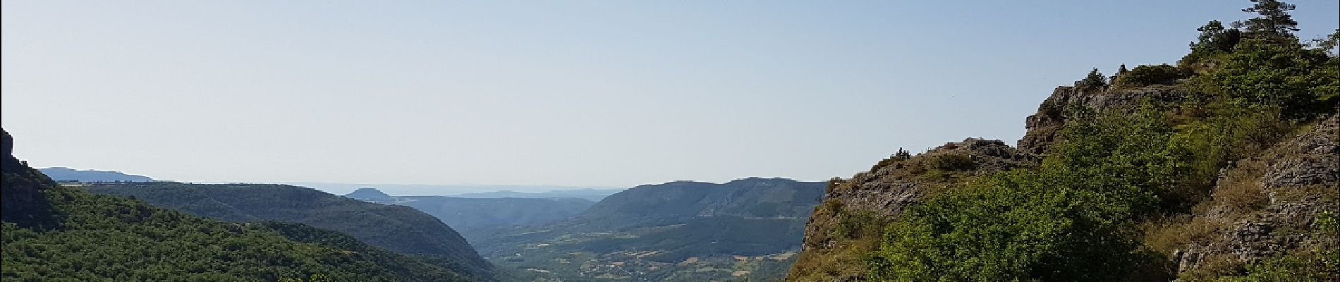 Tour Wandern Lauroux - Labeil - Forêt de l'Escandorgue - Photo