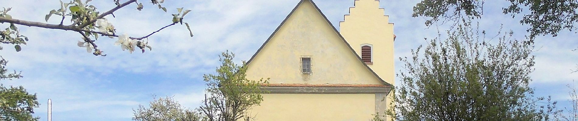 Excursión A pie Gomadingen - Kalter Brunnen - Dreilärchen - Jägerhaus - Photo