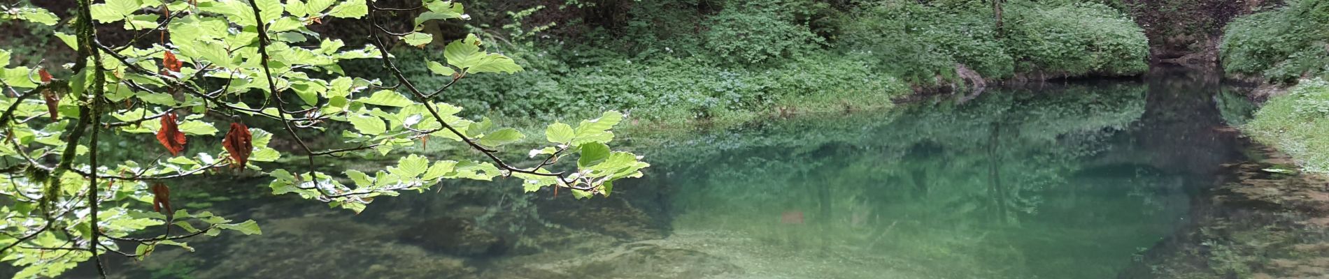 Tocht Stappen Conte - Source de l'Ain - Photo