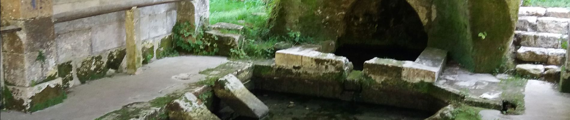 Tocht Stappen Mareuil en Périgord - boucle des cluzeaux - Photo