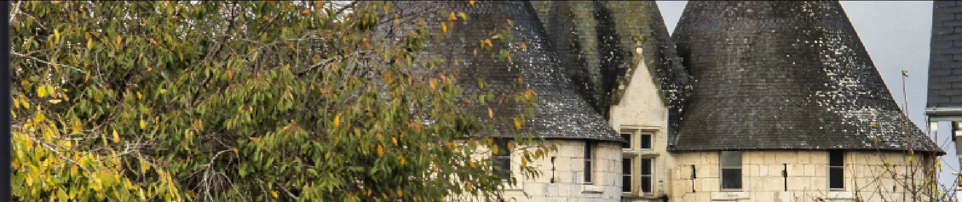 Excursión Senderismo Nogent-le-Rotrou - Nogent-le -Rotrou, une ville à la campagne 8,6km - Photo