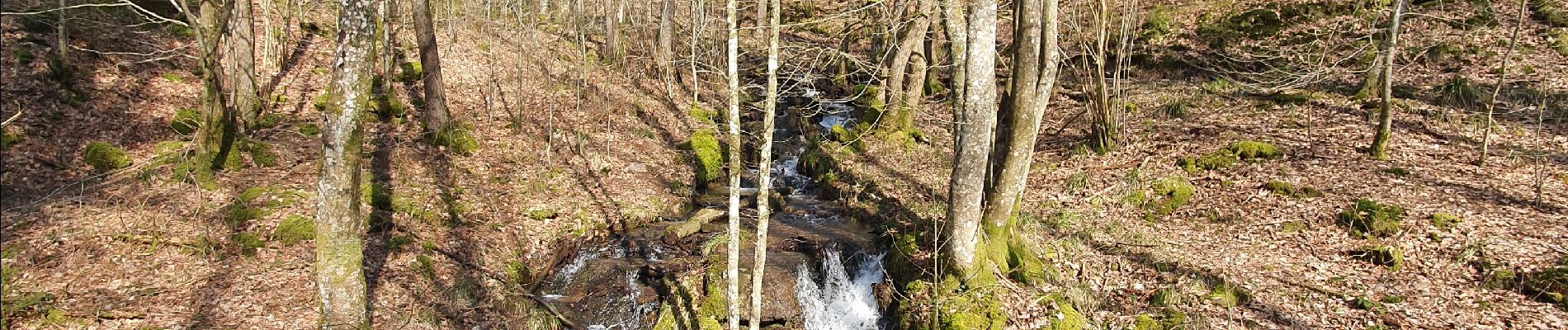 Randonnée Marche Wellin - rando fays famenne 17/03/2020 - Photo