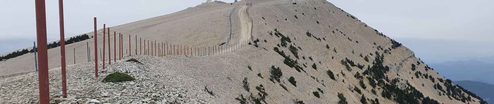 Trail Walking Beaumont-du-Ventoux - Mts Serein, Ventoux, tête de la Grave - Photo