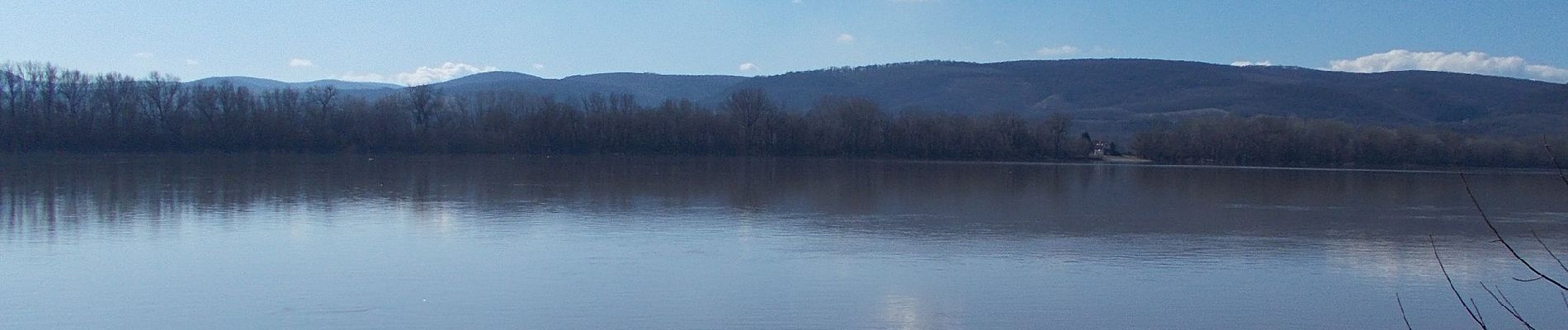 Excursión A pie Esztergom - P+ (Maróti-hegyek, hajdani Képesfa - Savó-kúti-tisztás - Basaharc, szobi rév) - Photo