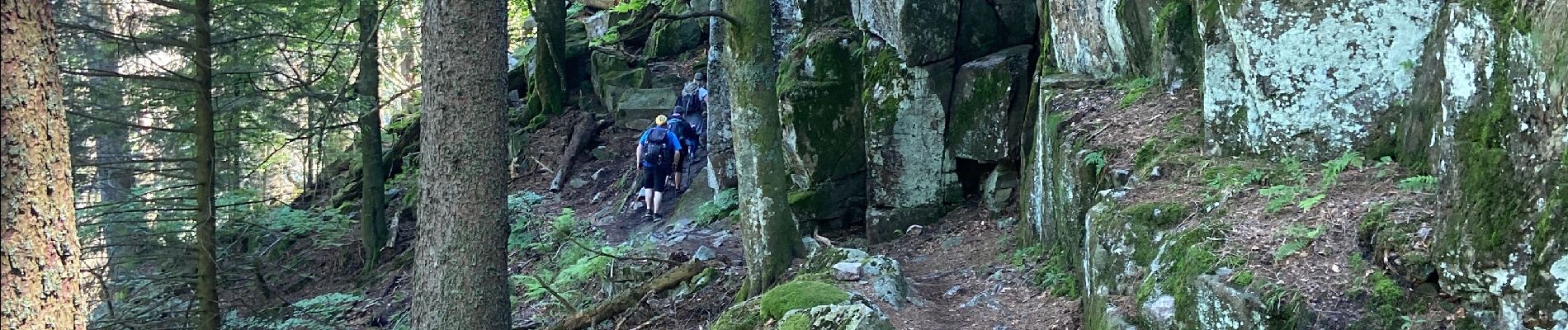 Excursión Senderismo Metzeral - Lac du Schiessrothried - Marcairie du Frankenthal- Retour - Photo