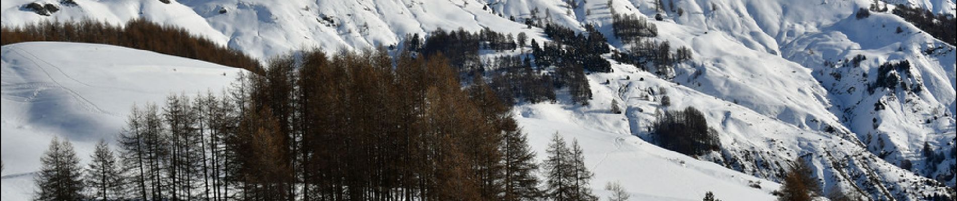 Excursión Raquetas de nieve Orcières - Orcières - Forest les Marches - Photo