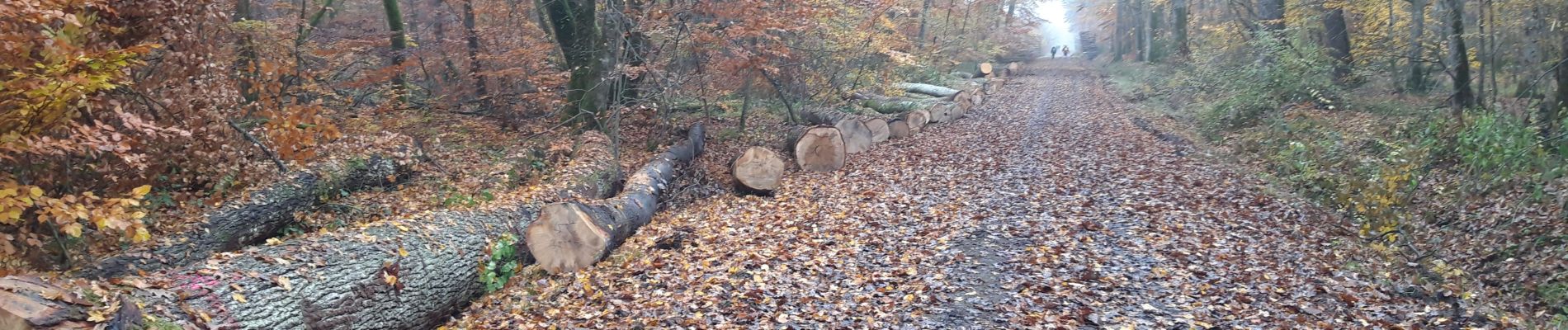 Tocht Lopen Allogny - allogny - Photo