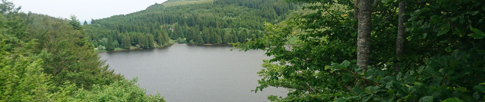 Percorso Marcia Orcival - lac de Guerry - puy gros - banne d'ordanche- retour lac  - Photo