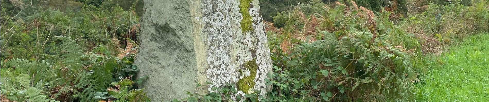 Punto de interés Saint-Priest-la-Feuille - Menhir  - Photo