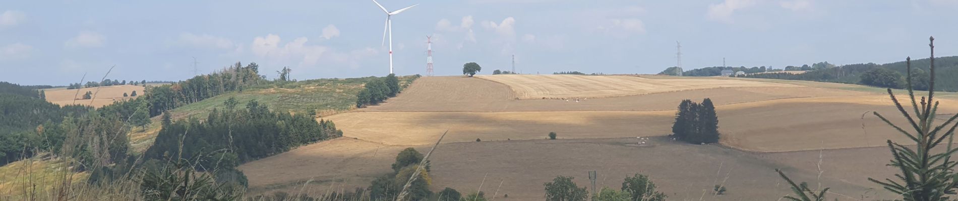 Percorso Marcia Fauvillers - rando wisembach 18-08-2022 - Photo