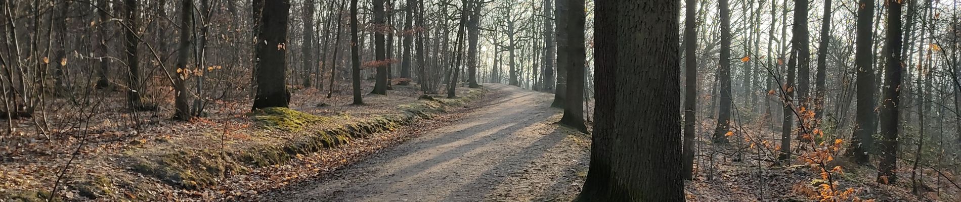 Tour Wandern Viroflay - Par les sentes de Chaville, Sèvres et Ville D'Avray - Photo