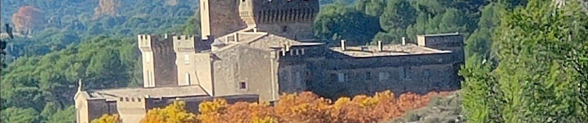 Tour Wandern La Barben - boucle château de la Barben - Photo