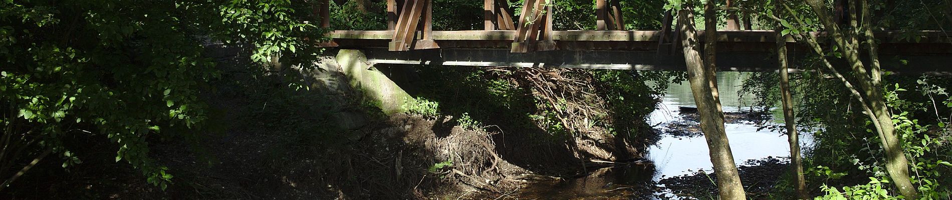 Percorso A piedi Sconosciuto - Bibergehege-Rundweg (Forsthaus-Rundweg) - Photo