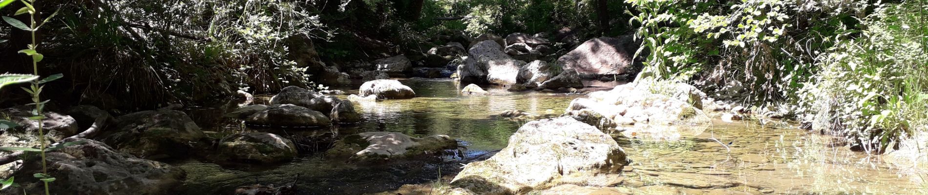 Tocht Stappen Callas - gorge de Penafore - Photo