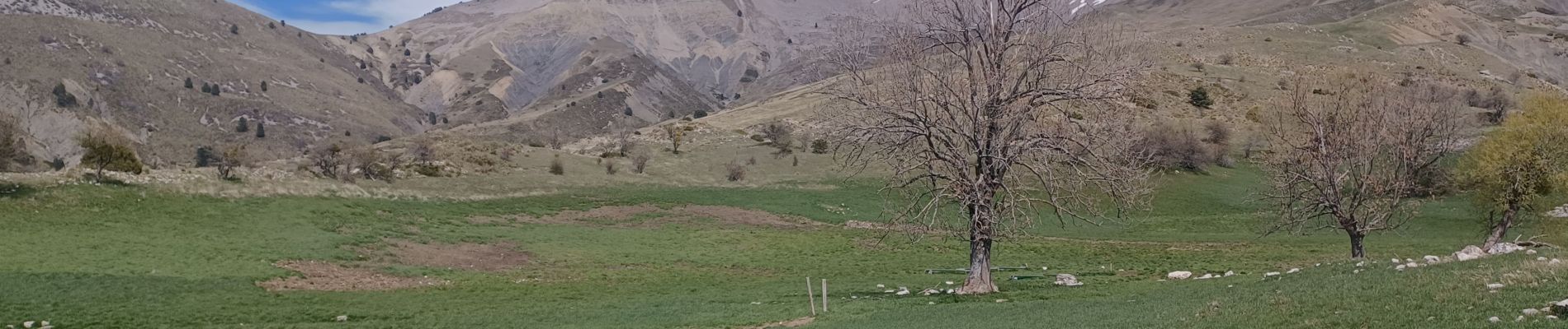 Percorso Marcia Authon - AUTHON . COL DE LA SAPIE .CRETE DU CLOT DES MARTHES . CABAN DE CHINE N - Photo