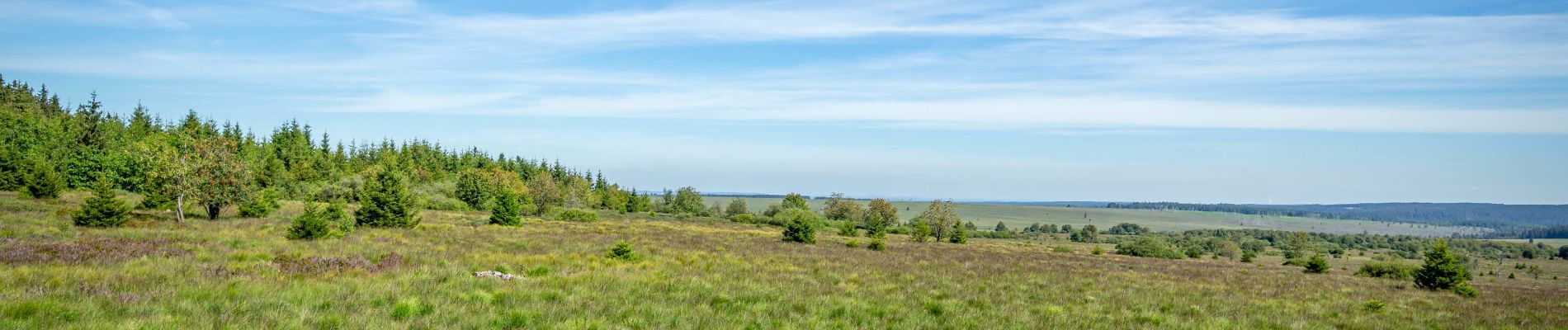 Point of interest Waimes - The High Fens - Photo