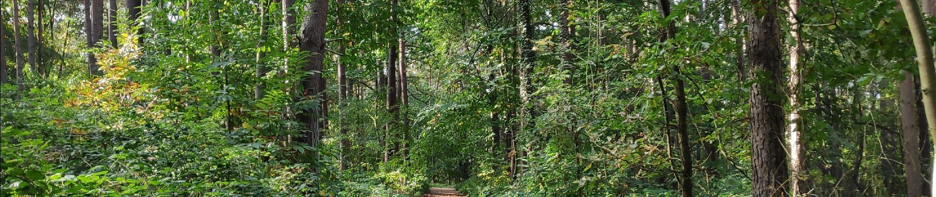 Trail Walking Braine-le-Château - Braine le château - Photo