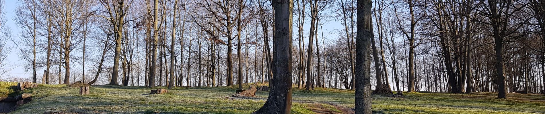 Tocht Stappen Luik - Rocourt > fort de Lantin > Liers > Rocourt  - Photo