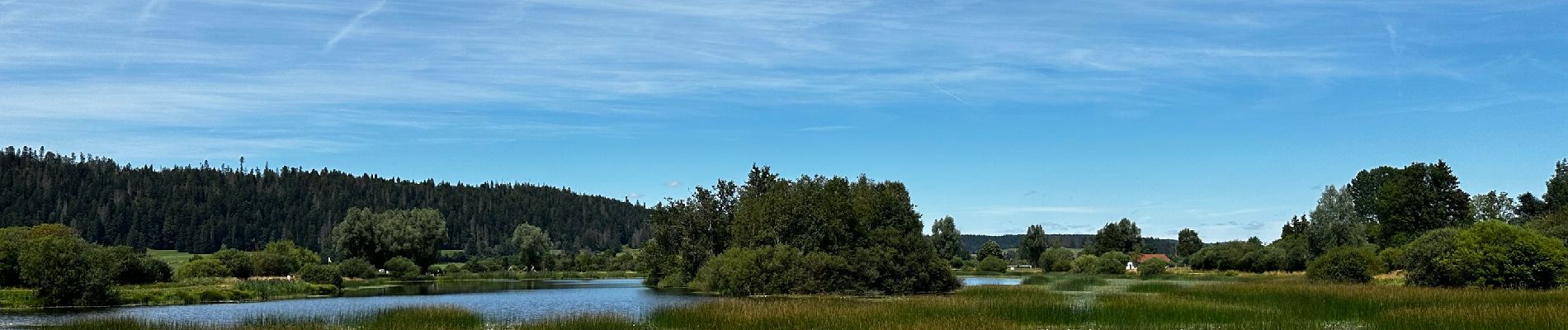 Randonnée Marche Labergement-Sainte-Marie - La réserve naturelle du lac de Remoray : le plan d’eau de la Seigne à Labergement-Sainte-Marie - Photo