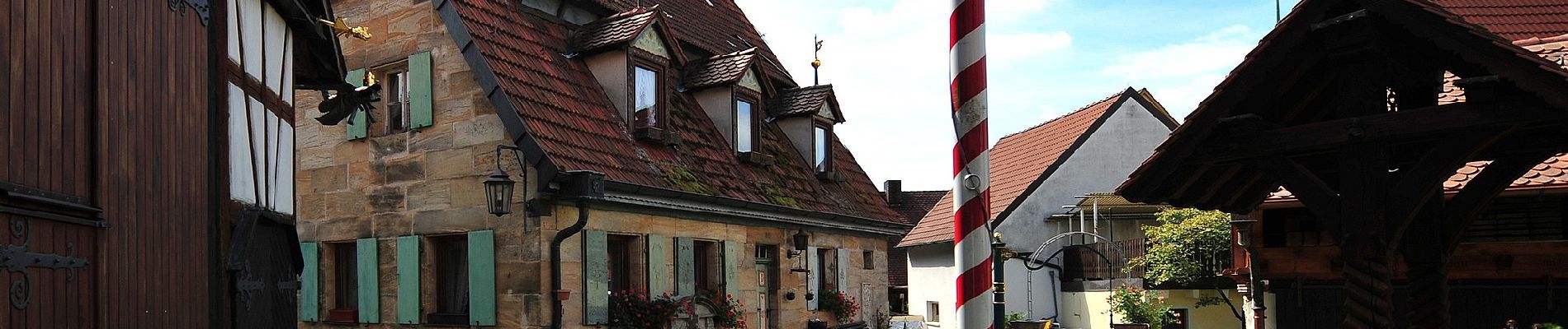 Excursión A pie Kalchreuther Forst - Rundweg um Kalchreuth - Photo