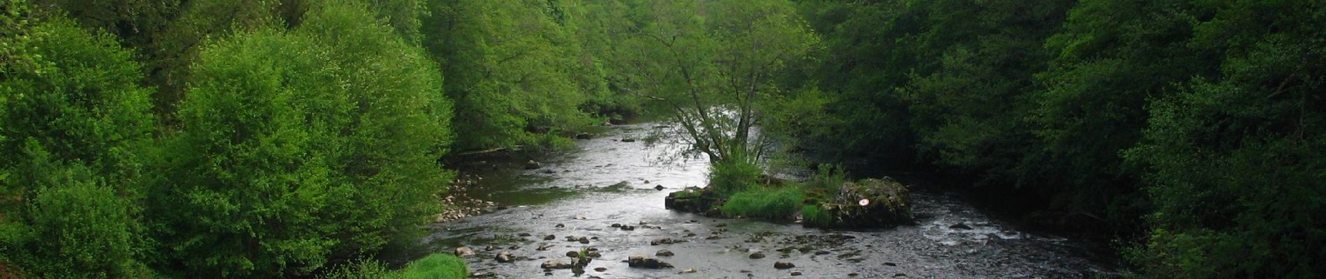 Trail On foot Ayat-sur-Sioule - Les Cotes - Photo