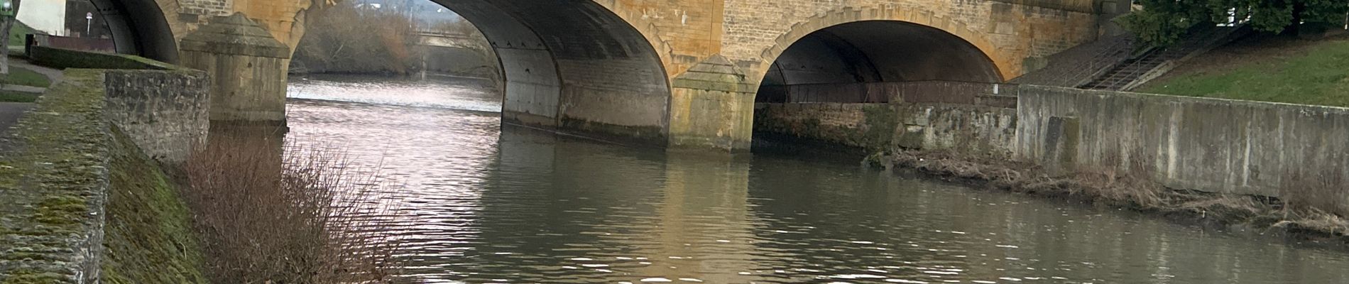 Tour Wandern Metz - Metz Bras mort de la Moselle - Photo