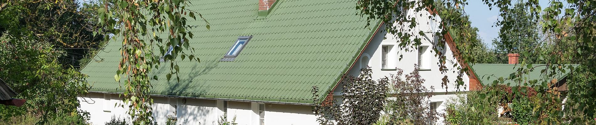 Percorso A piedi Paszków - Szlak Zbieraczy - Photo