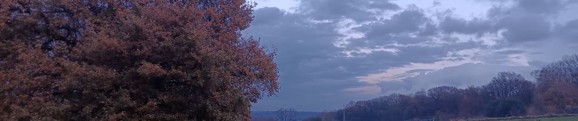 Randonnée Marche Liège - sart tilman et saint Laurent  - Photo