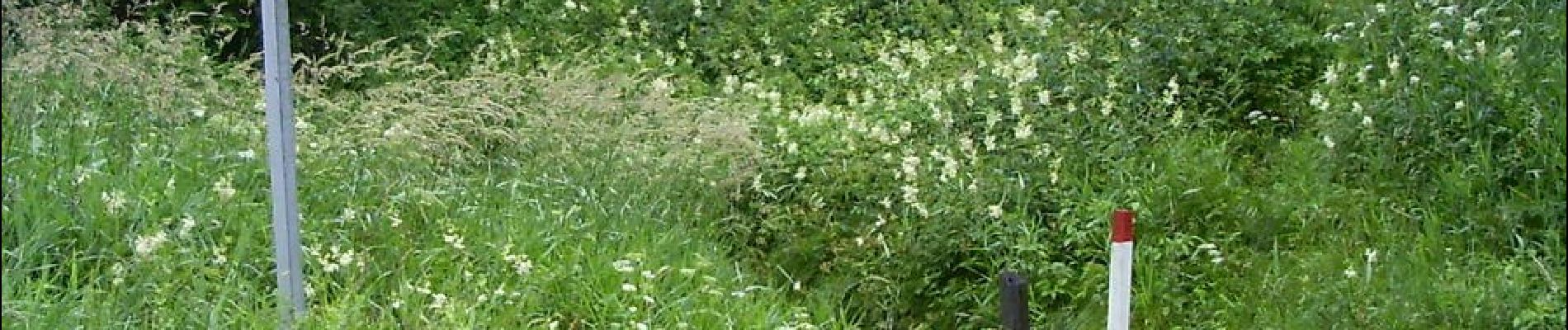 Randonnée A pied Sankt Oswald bei Haslach - Steilstufenweg - Kleine Runde - Photo