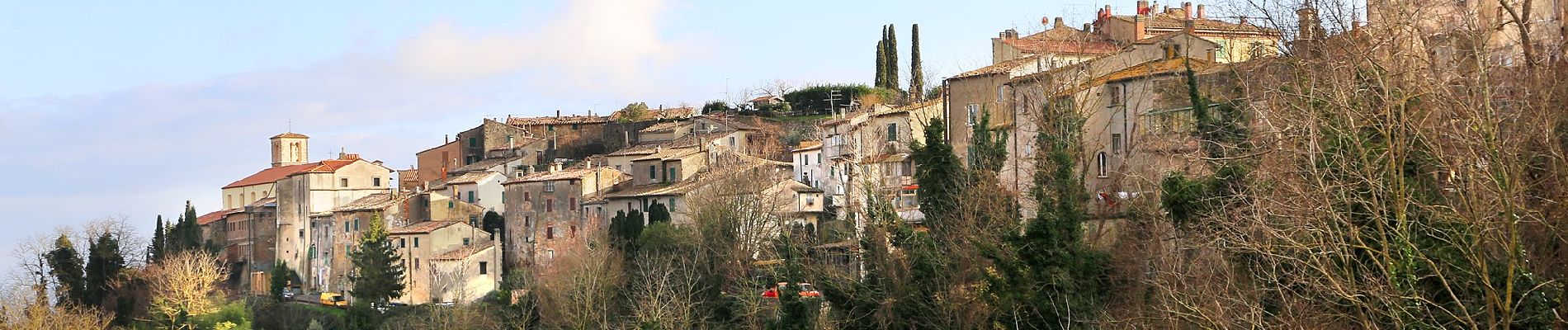 Tocht Te voet Scansano - Sansano - Marina di Alberese - Photo