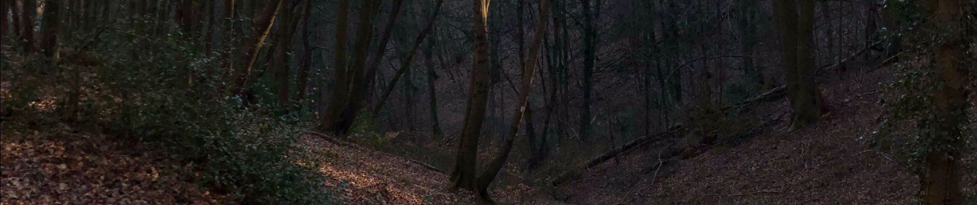 Randonnée Marche Liège - Sart Tilman - Landes de Streupas - Photo