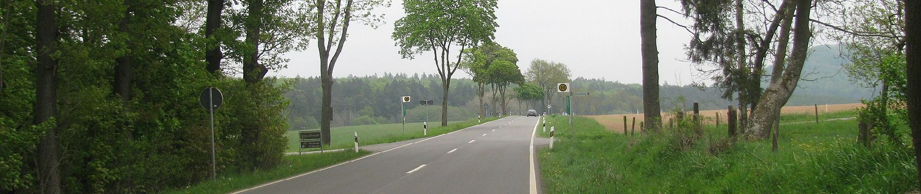 Tocht Te voet Waldeck - Rundwanderweg Freienhagen 8 - Photo