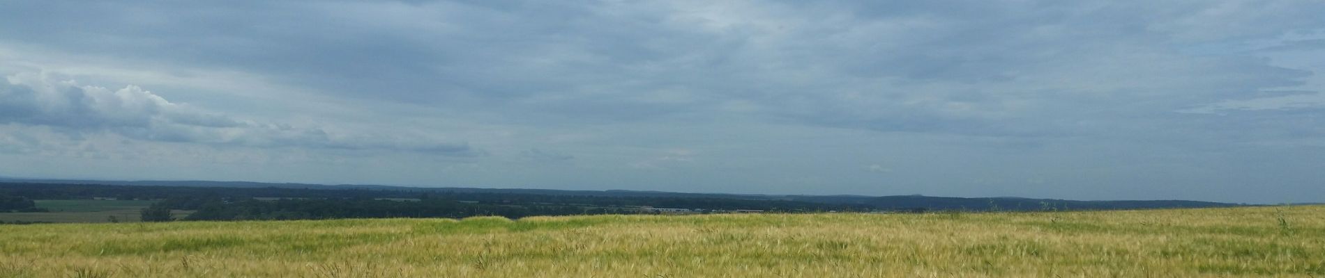 Trail Mountain bike Saint-Clément -  sortie vtt du 17062018 SIONVILLER  - Photo