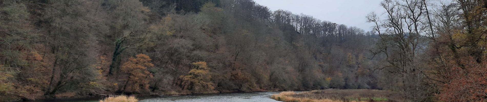 Tour Wandern Bouillon - Curfoz - Moulin de l'Epine - Photo