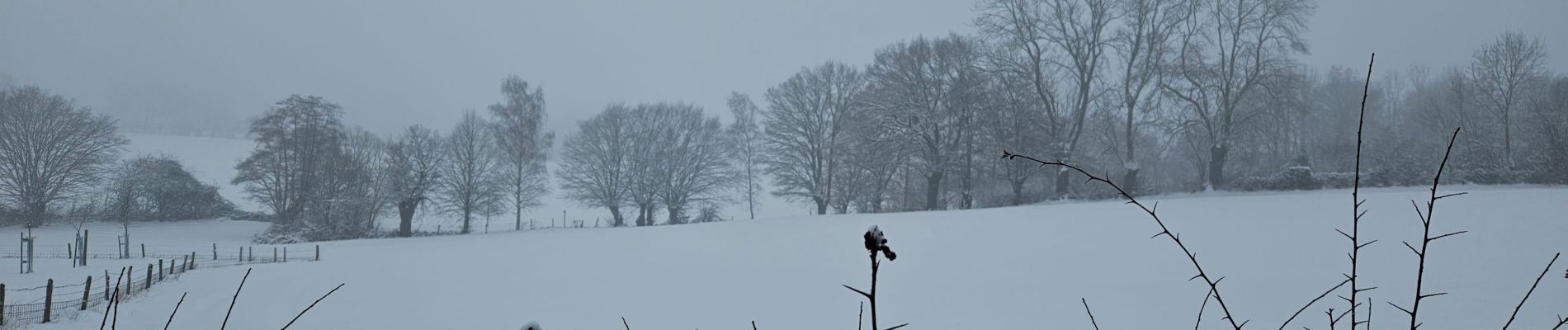 Tocht Stappen Soumagne - ❄️⛄️ Soiron - Photo