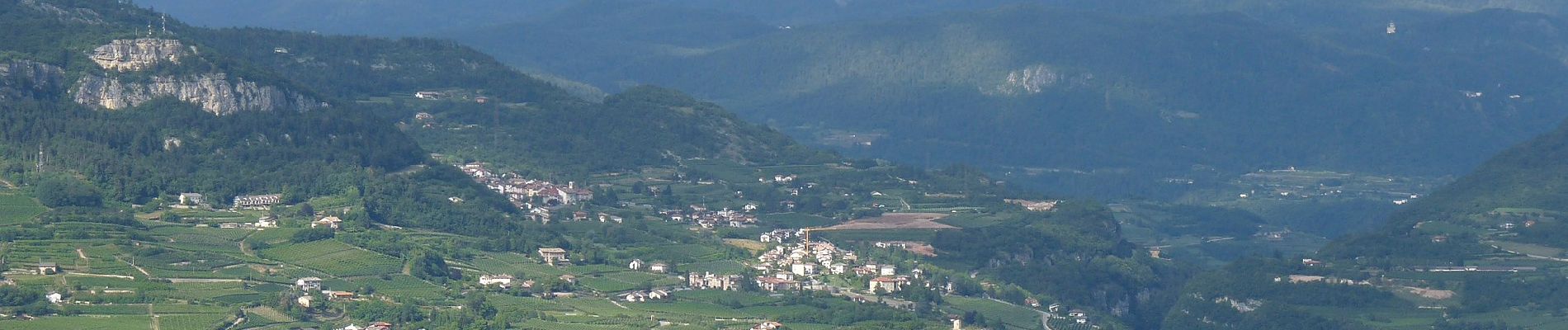 Percorso A piedi Trento - Sentiero Natura Cognola - Monte Calisio - Photo