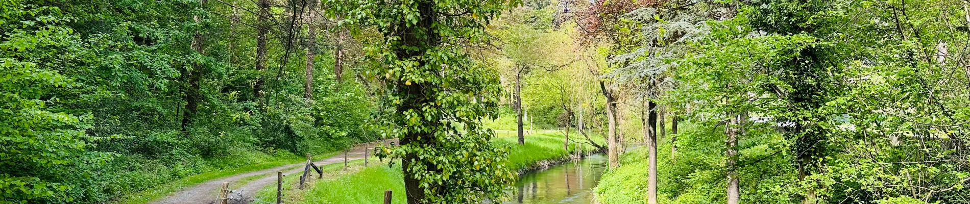 Randonnée Marche Wanze - La promenade de la Pierre à Moha (Wanze) - Photo