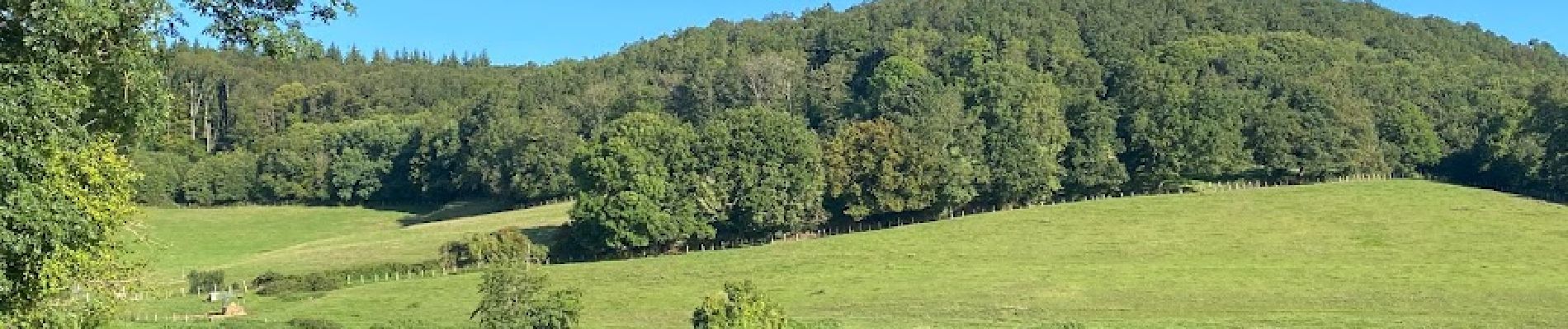 Tocht Stappen Bretoncelles - BRETONCELLES ET SES HAMEAUX - Photo