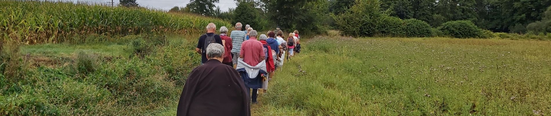 Tour Zu Fuß Cravans - Cravans Jorignac Gouterand - Photo