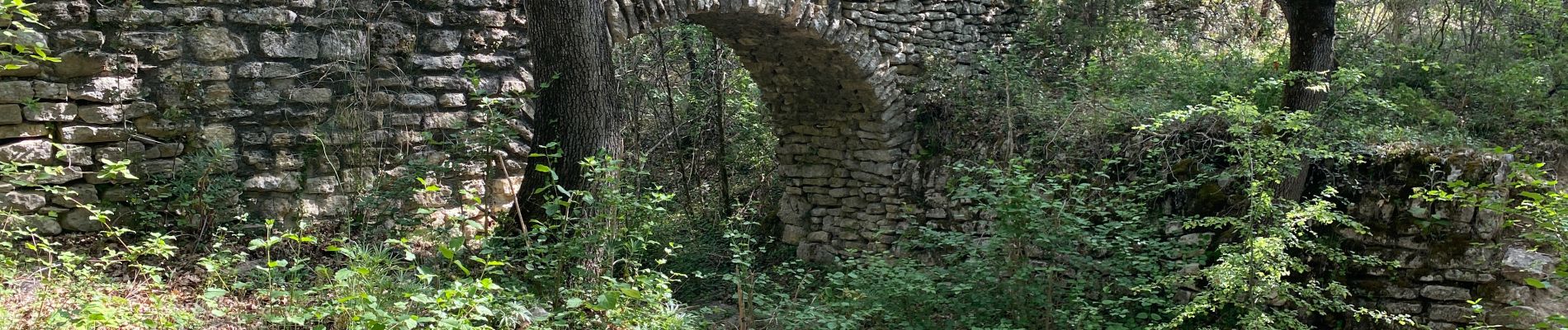 Tocht Stappen Montségur-sur-Lauzon - Montsegur bassin des druides raccourci.  - Photo