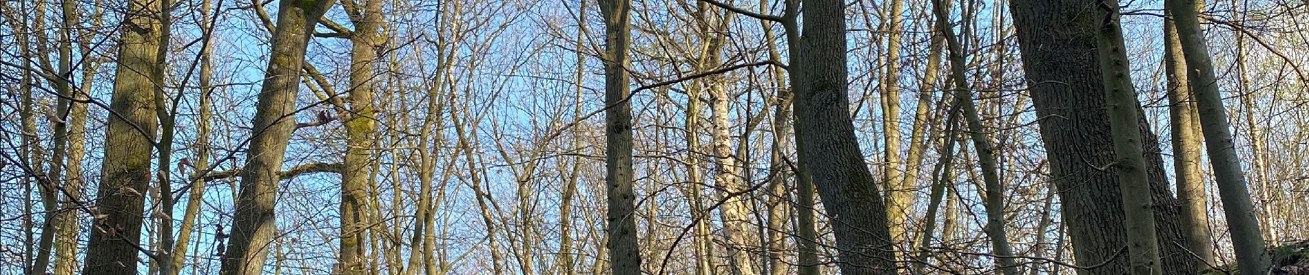 Tocht Stappen Graven - Grez Doiceau Gottechain - Photo