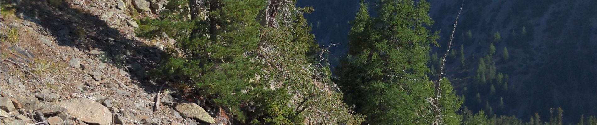 Randonnée Marche Isola - entre les cimes de Méné et Las Crousillas - Photo