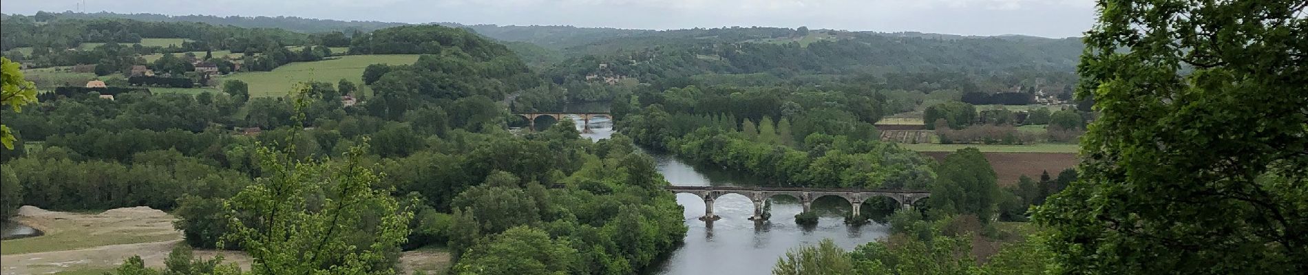 Trail Electric bike Alles-sur-Dordogne - La balade de l’ascension  - Photo