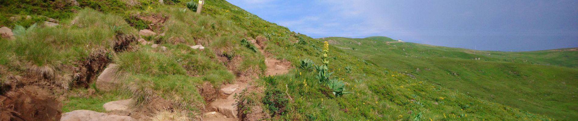 Excursión Senderismo Albepierre-Bredons - Cantal - Col de Prat de Bouc Le Plomb du Cantal - 8.2km 450m 2h45 - 2019 07 06 - Photo