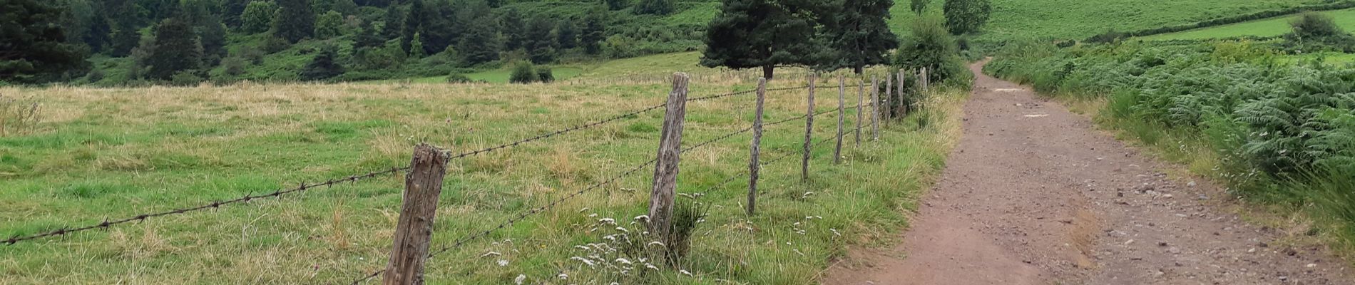 Tour Wandern Aydat - Puy de Vichatel depuis la Garandie - Photo