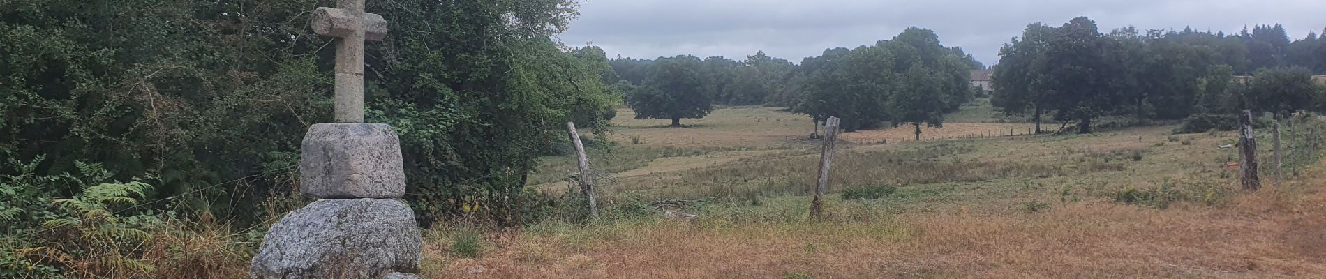 Excursión Bici de montaña La Nouaille - rando vttæ le Cluzeau 14 08 22 - Photo